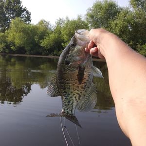 Meet your Posher, Ethan